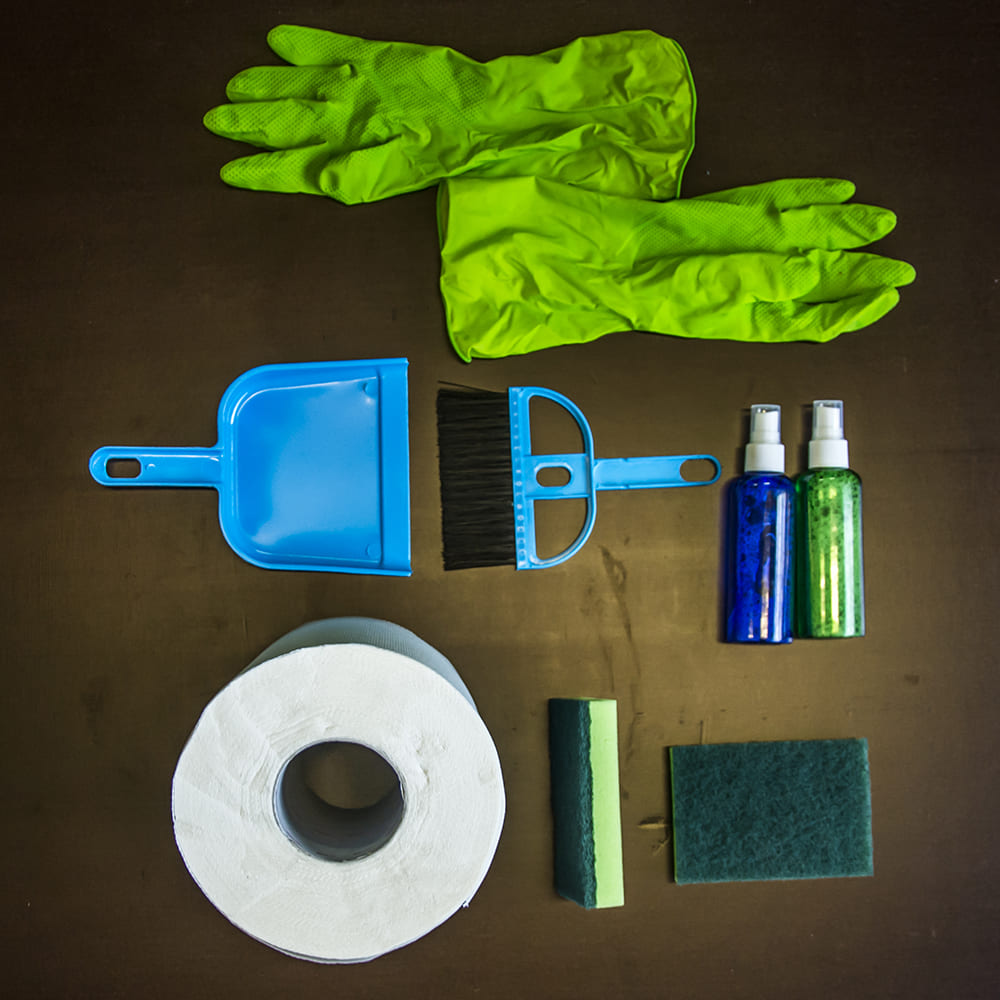 Cleaning kit